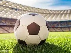 土壤重金属,含量预测系,与机器学习,开云体育,开云体育官网,开云体育app,开云体育平台,KAIYUN,SPORTS,kaiyun登录入口