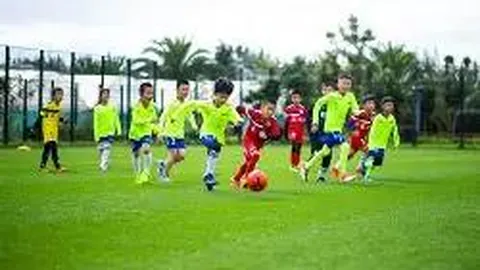 开云体育官网平台 产品 095117 4ix