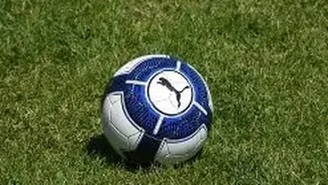 广东文化产业扶持政策成效显著：人才汇聚加速，优质项目扎根发展