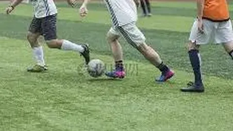 开云体育官网平台 资讯 110646 c2c