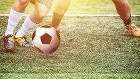 开云体育官网平台 产品 093431 q4s