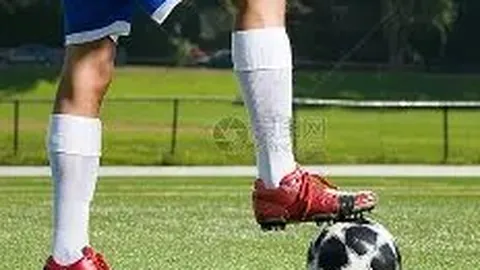 开云体育官网平台 产品 092440 2xc